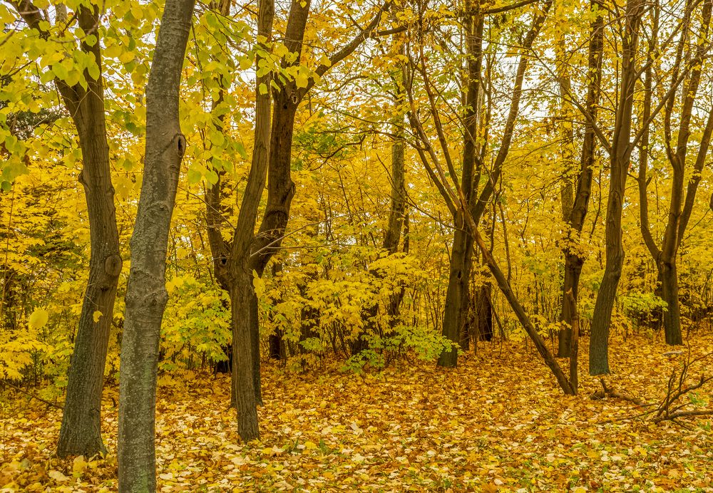 Photograph by Danail Dimov