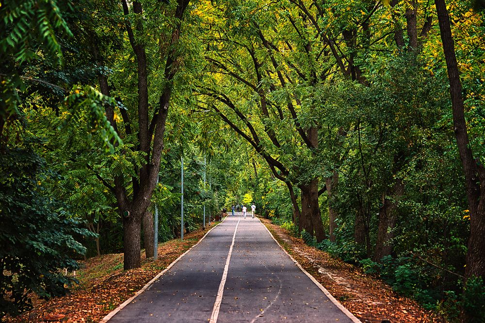 Photograph by Игорь Хижняк