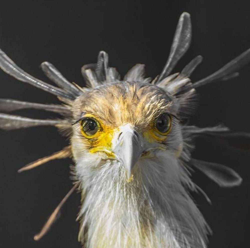 Photograph by Keegan Boland