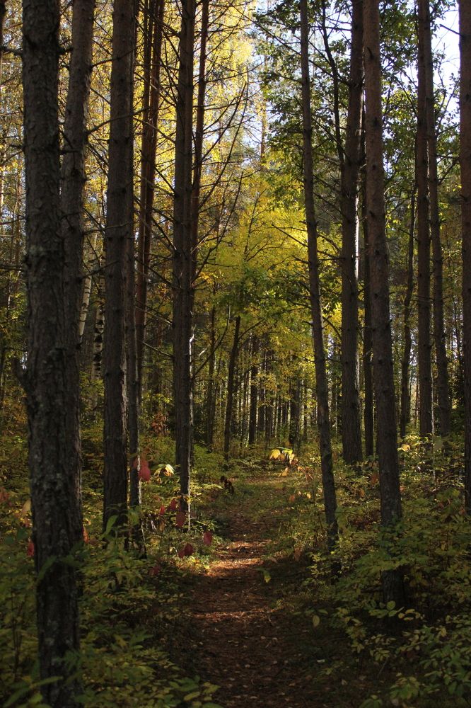 Photograph by Farah Ali