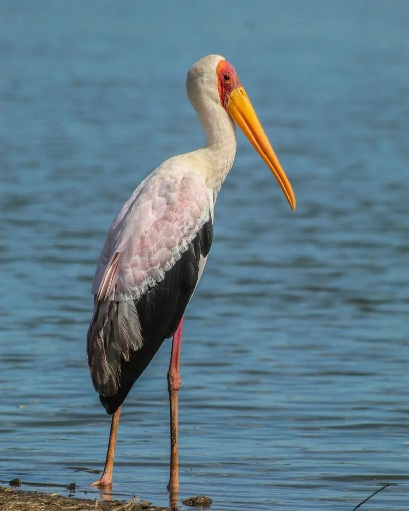 Photograph by Keegan Boland