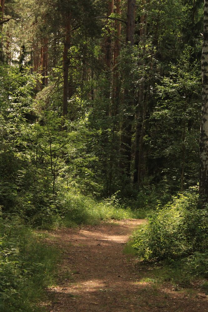 Photograph by Farah Ali