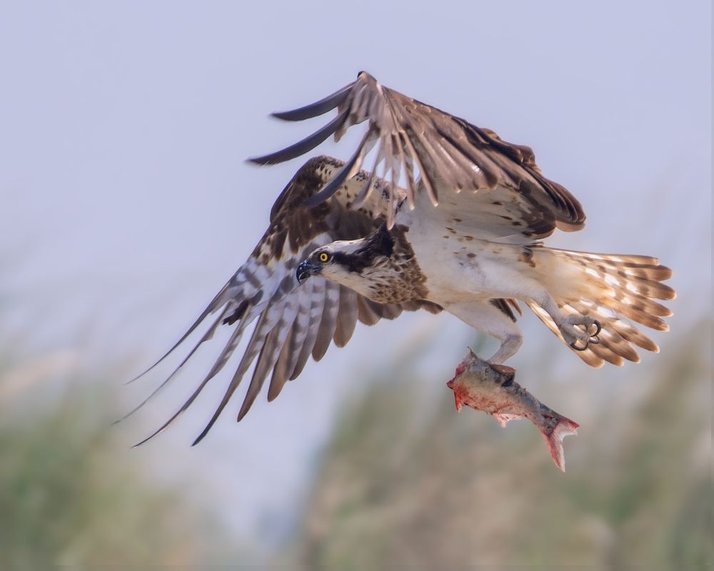 Photograph by Madhurya Mozumder