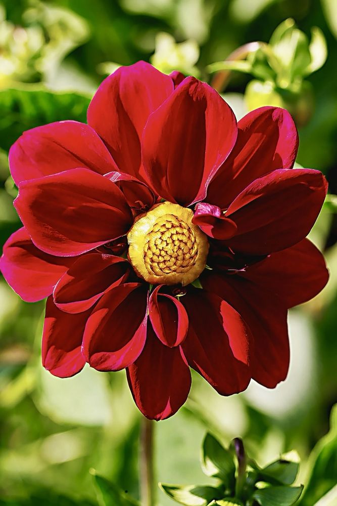 Photograph by Ольга Чибисова