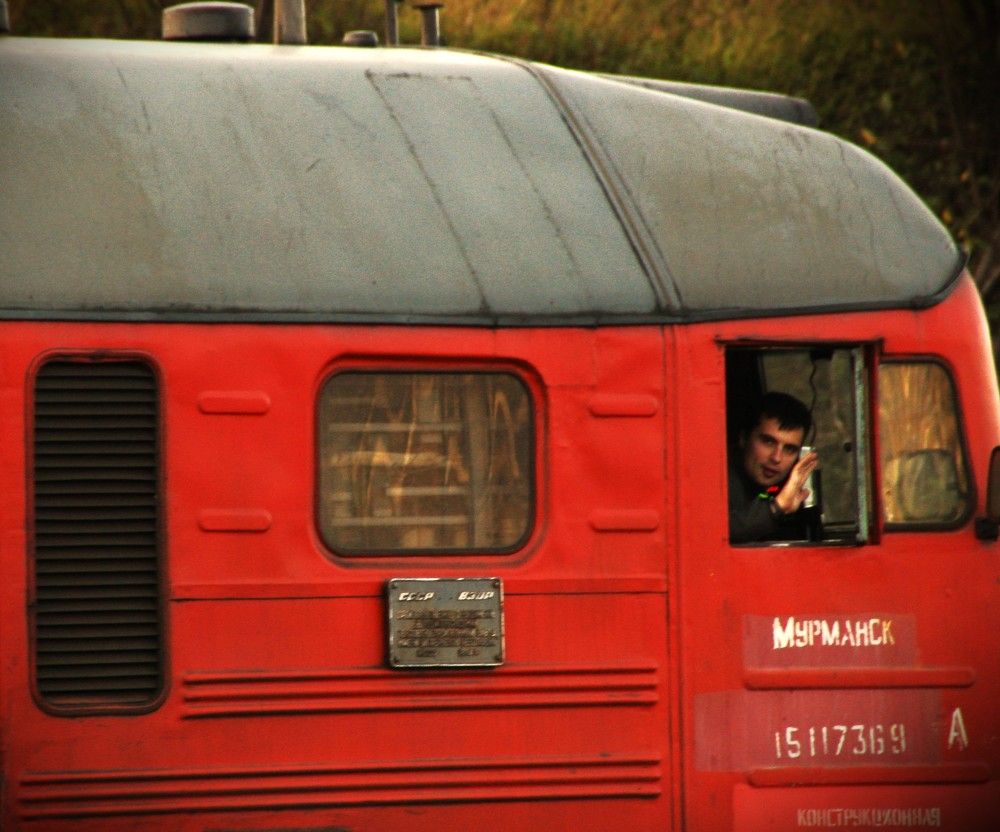 Фотография автора Светлана Терехова