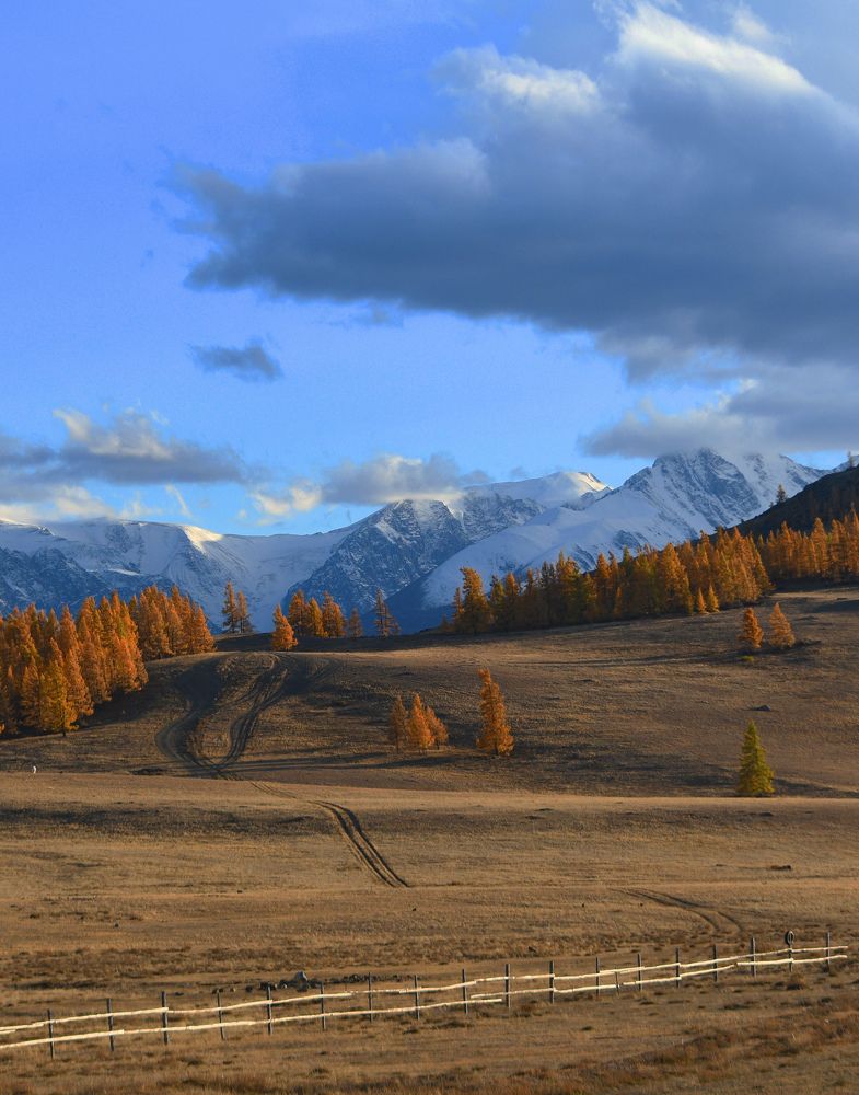 Photograph by Виталий Попов