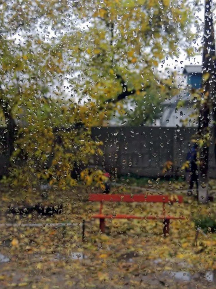 Фотография автора Роман Савоцкий