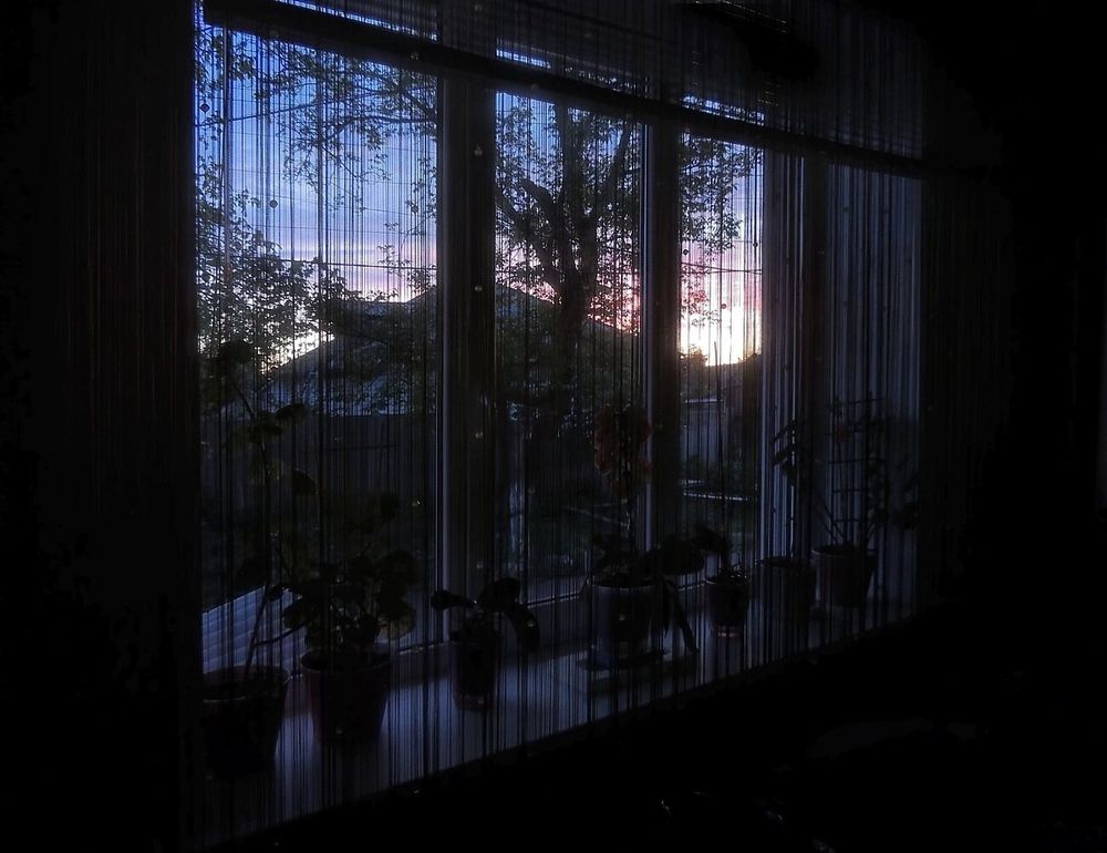 Фотография автора Роман Савоцкий