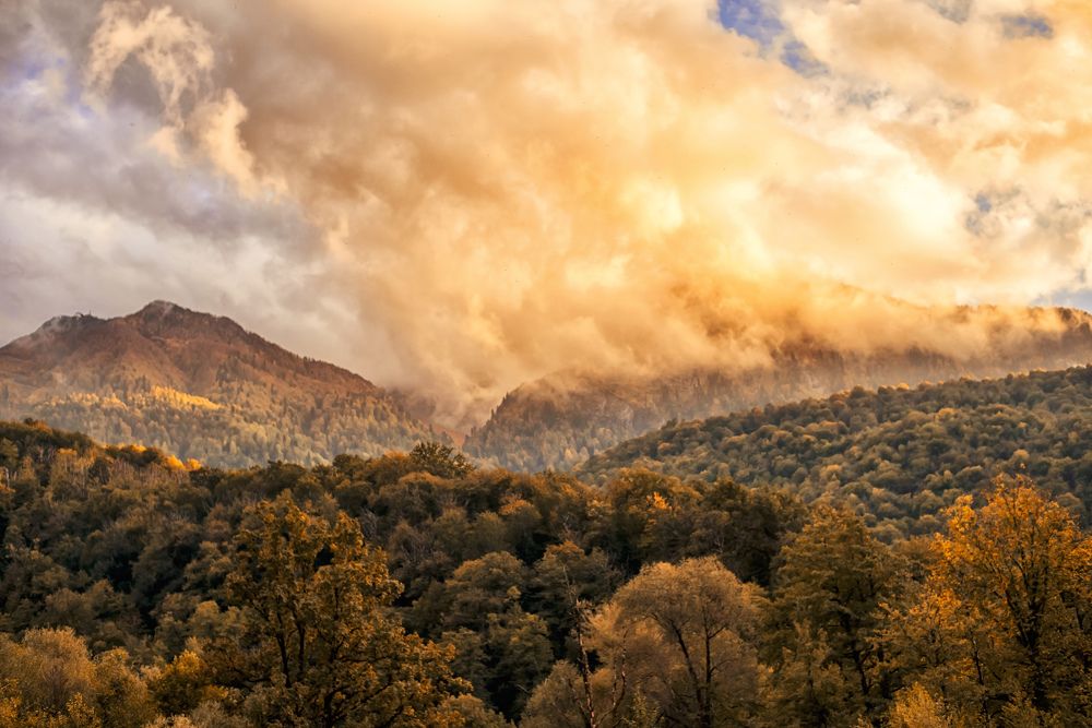 Photograph by Ксения Базарова