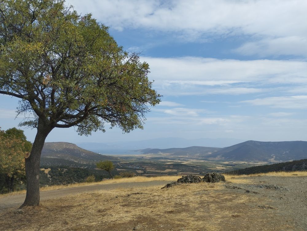 Photo #11220727