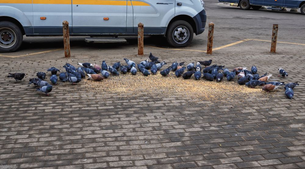 Photograph by Андрей Пучков