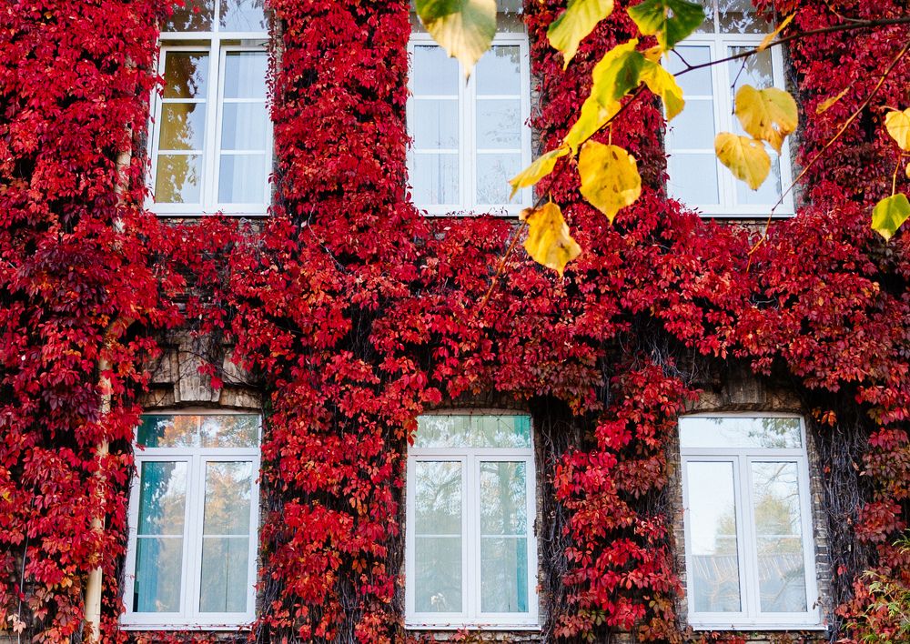 Photograph by Vitaliy