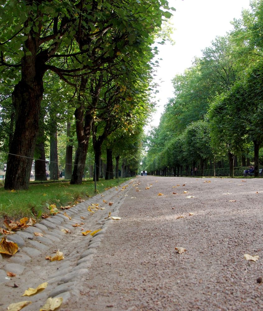 Photograph by Михаил Король