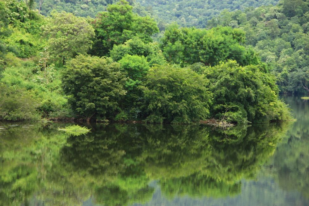 Photograph by SIVAMOORTHY VELMURUGAN