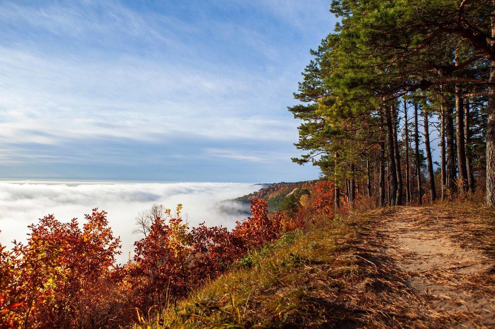 Photograph by Светлана Пузикова