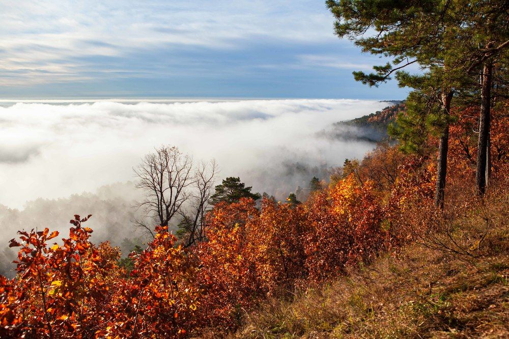 Photograph by Светлана Пузикова