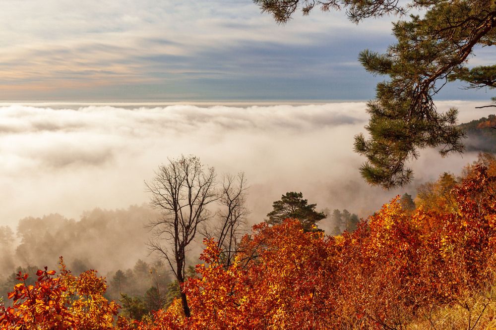 Photograph by Светлана Пузикова