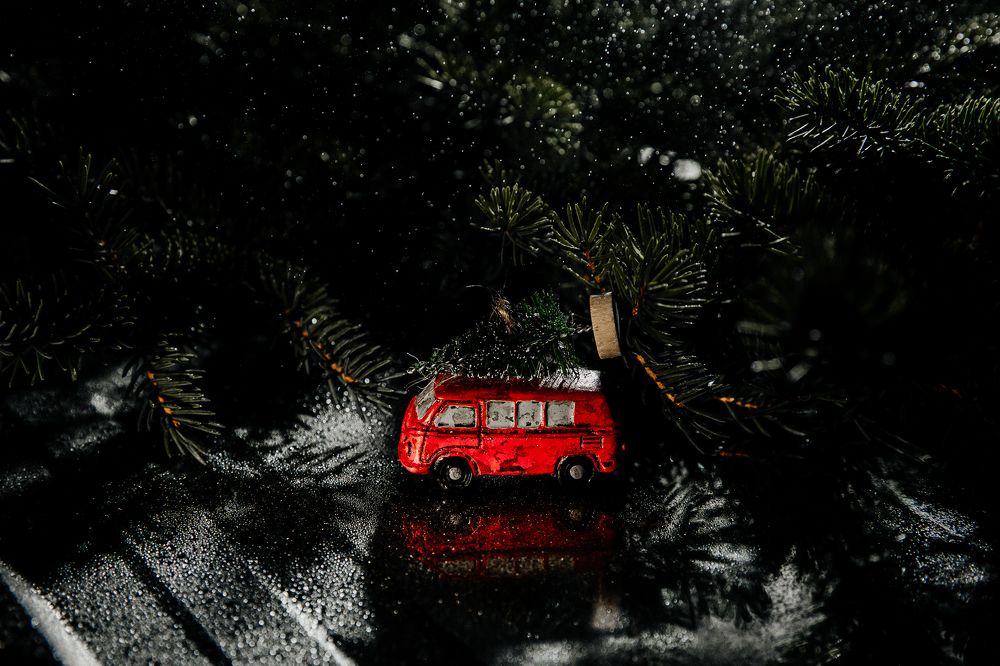 Photograph by Мария Раздорова