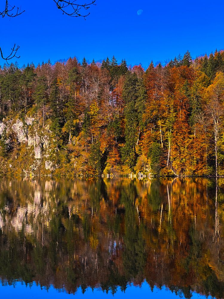 Photograph by Dmitrii Rabeev