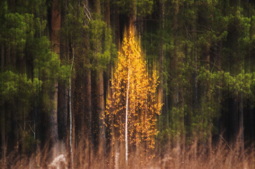 Photograph by Илья Толстоноженко