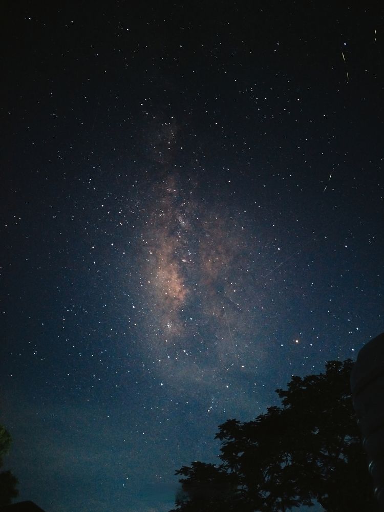 Photo #11220837