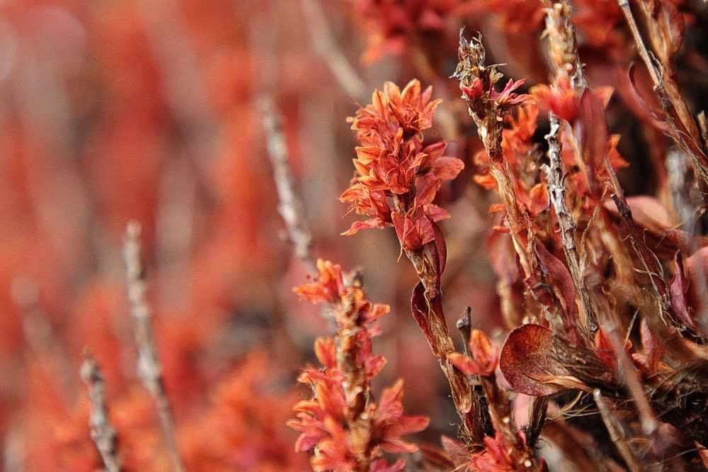 Photograph by Лада Денисова