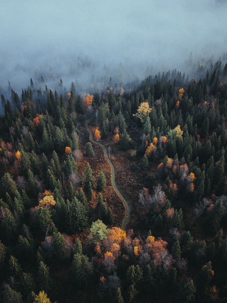 Photograph by Вячеслав Бобин