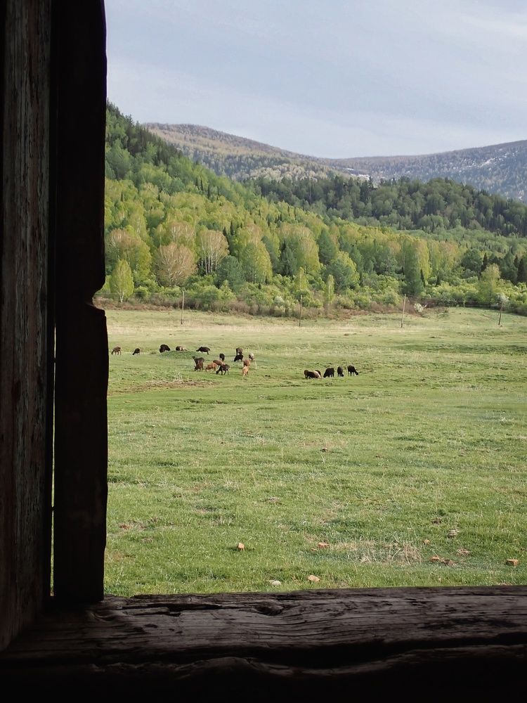 Photograph by Алина Эбель