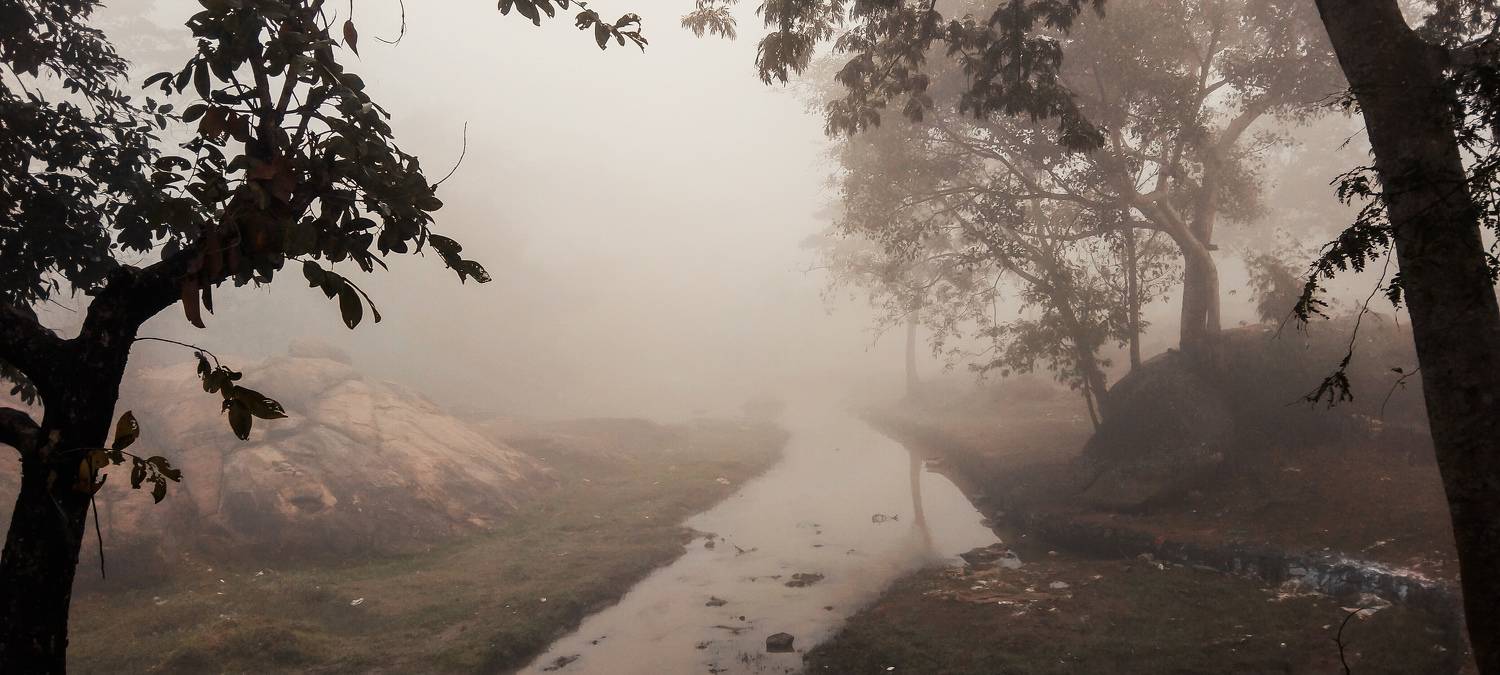Photo #11220949