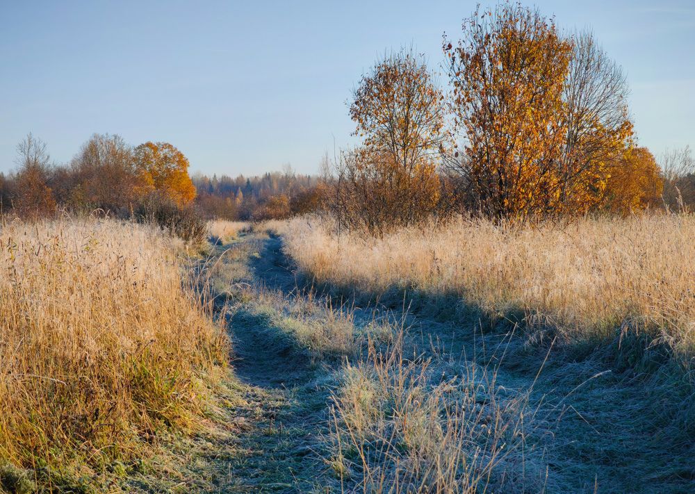 Photograph by Титова Дарья