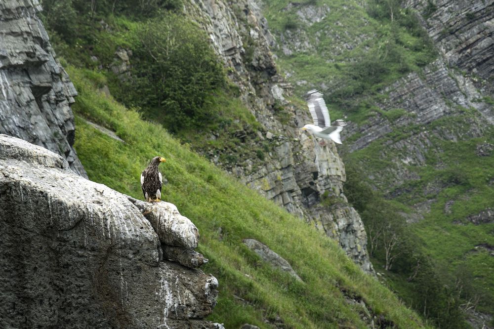 Photograph by Светлана Гореликова