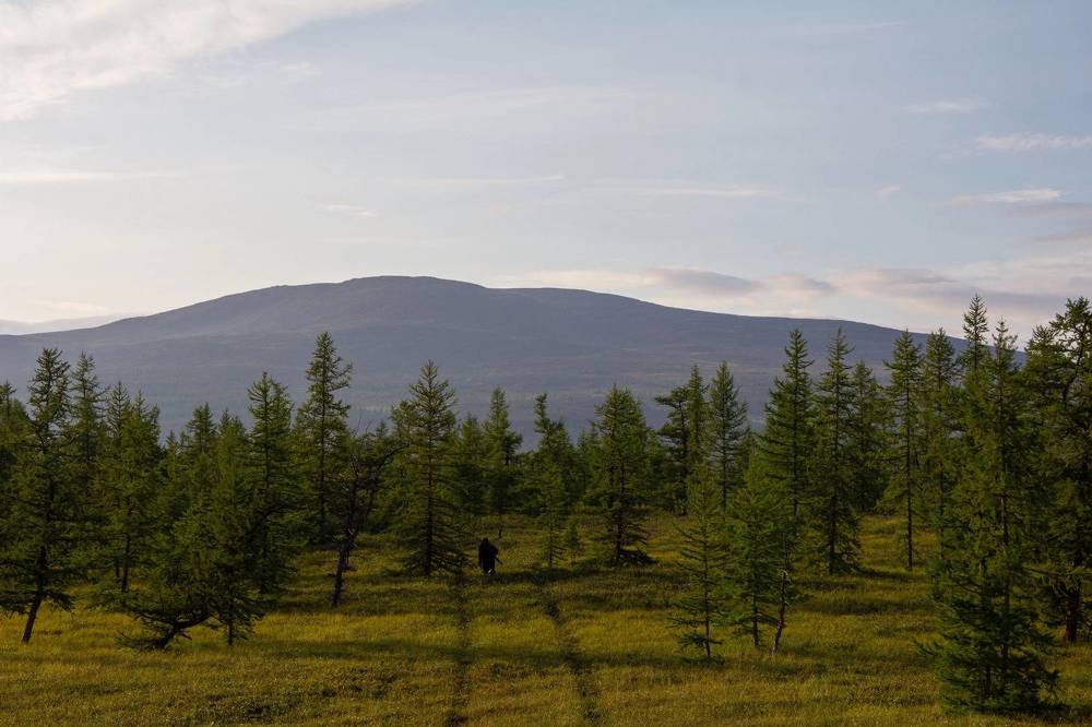 Photograph by Роман Куприянов