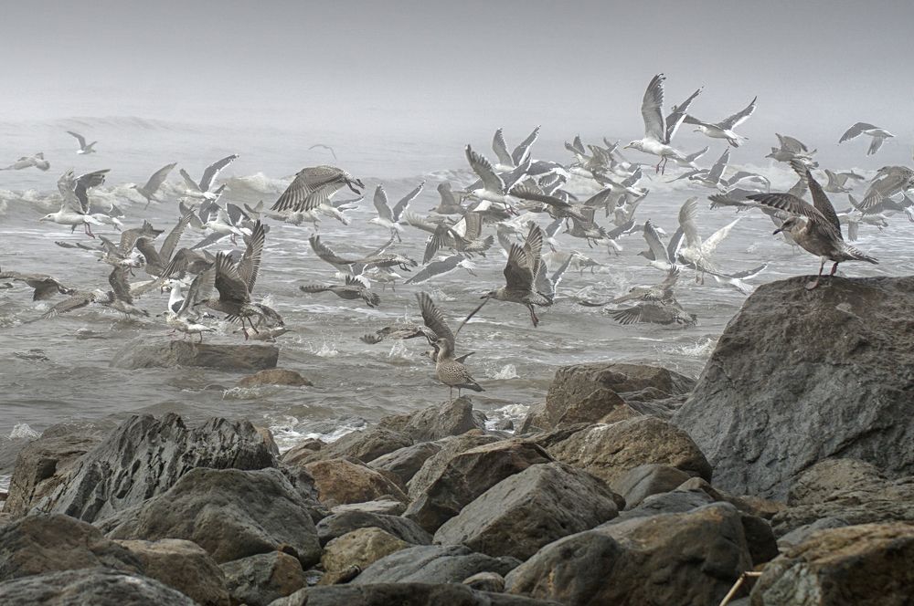 Photograph by Светлана Гореликова