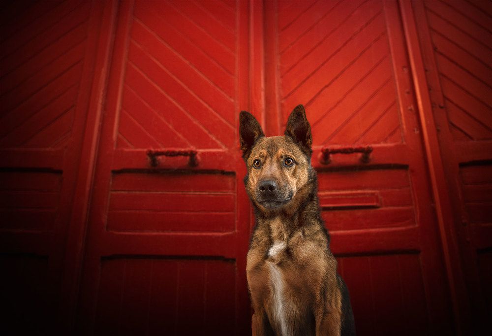 Photograph by Laura Quintanel