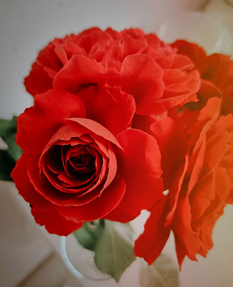 Photograph by Александра