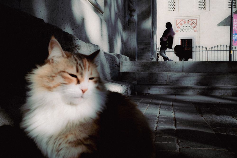 Photograph by rîz-i sinan