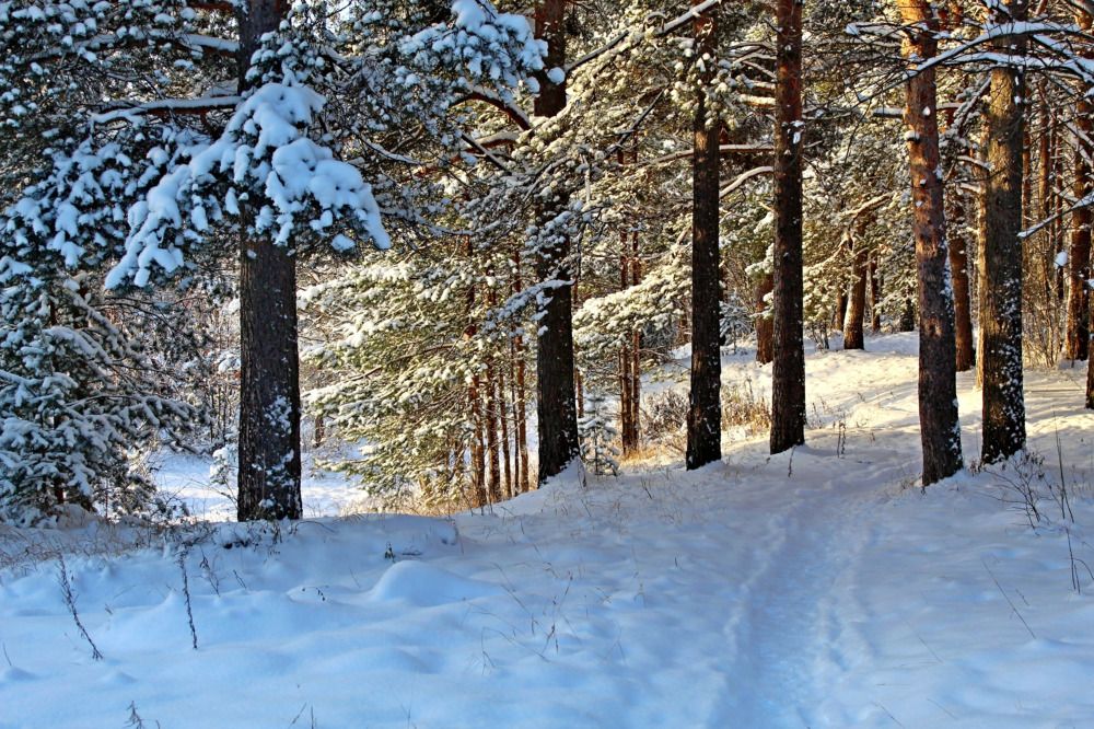 Photograph by Юлия Иванова