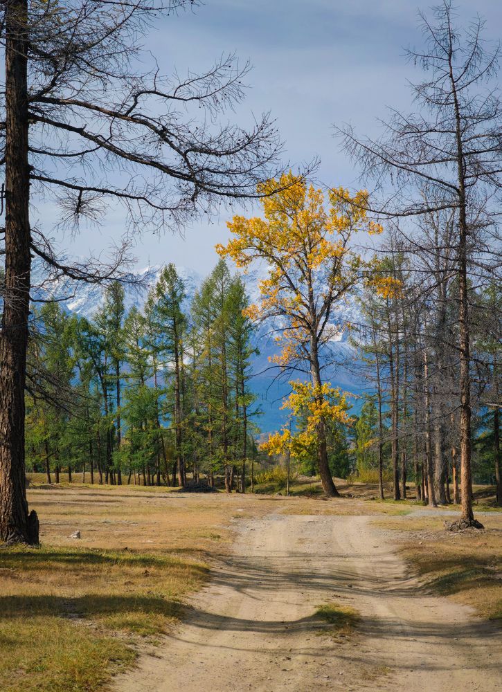 Photograph by Титова Дарья