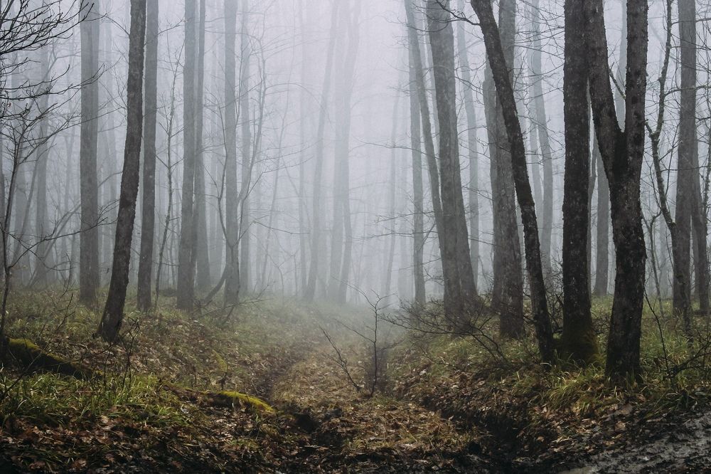 Photograph by Анастасия Лидяева