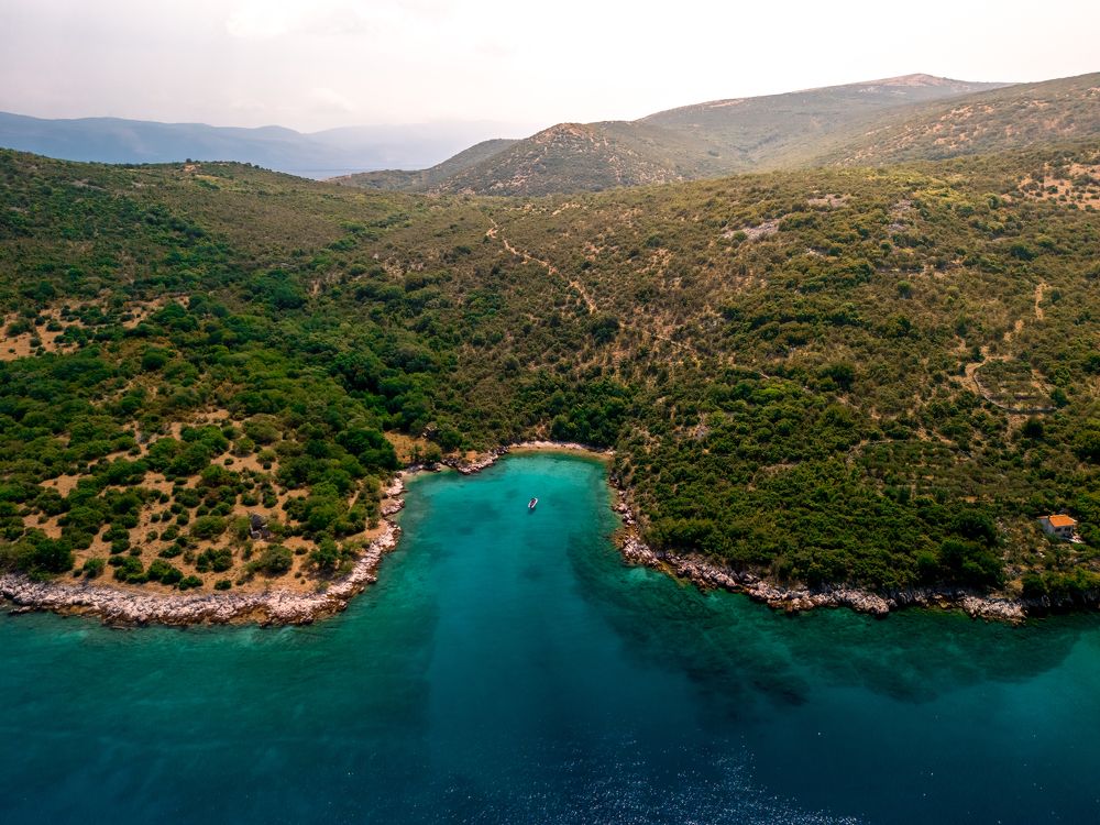 Photograph by Goran Stankovic