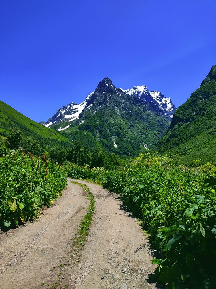 Photograph by Александра