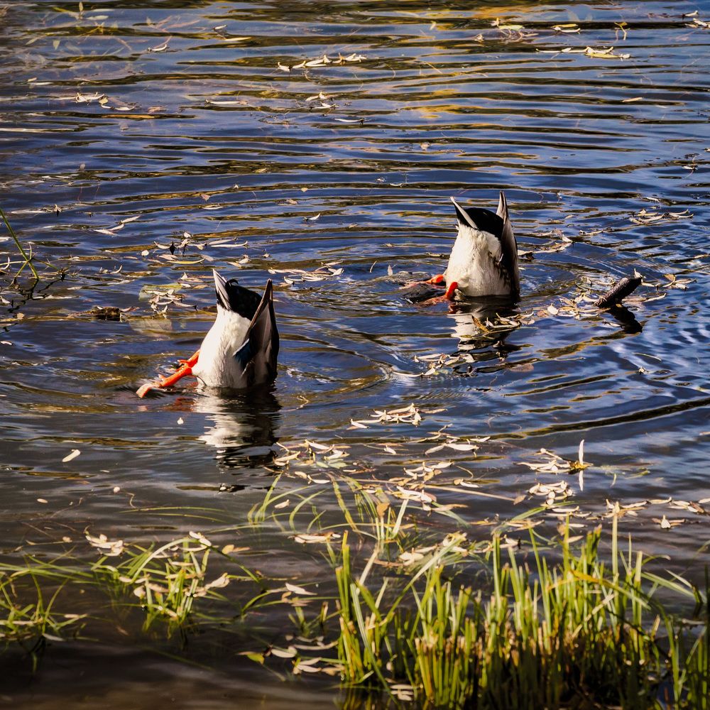 Photograph by Aleksandr Belov