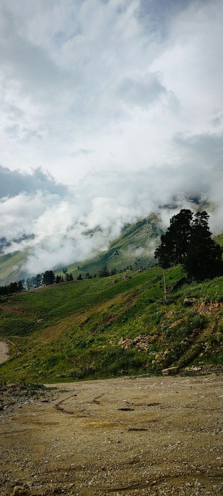 Photo #11221107