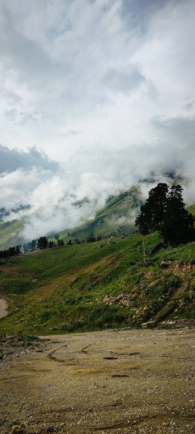 Photo #11221107