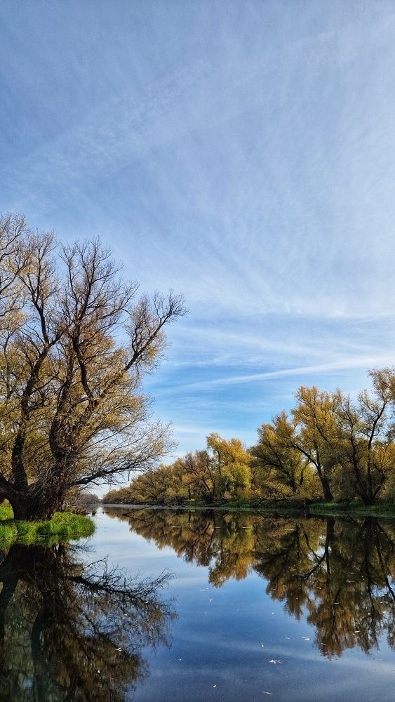 Photograph by Анна