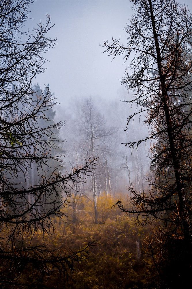 Photograph by Айсултан Каражигитов