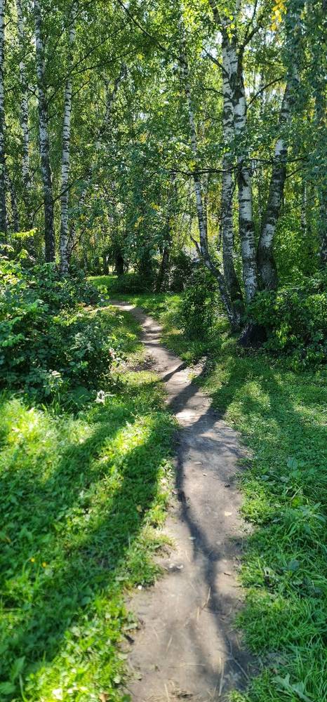 Photograph by Natasha Kim