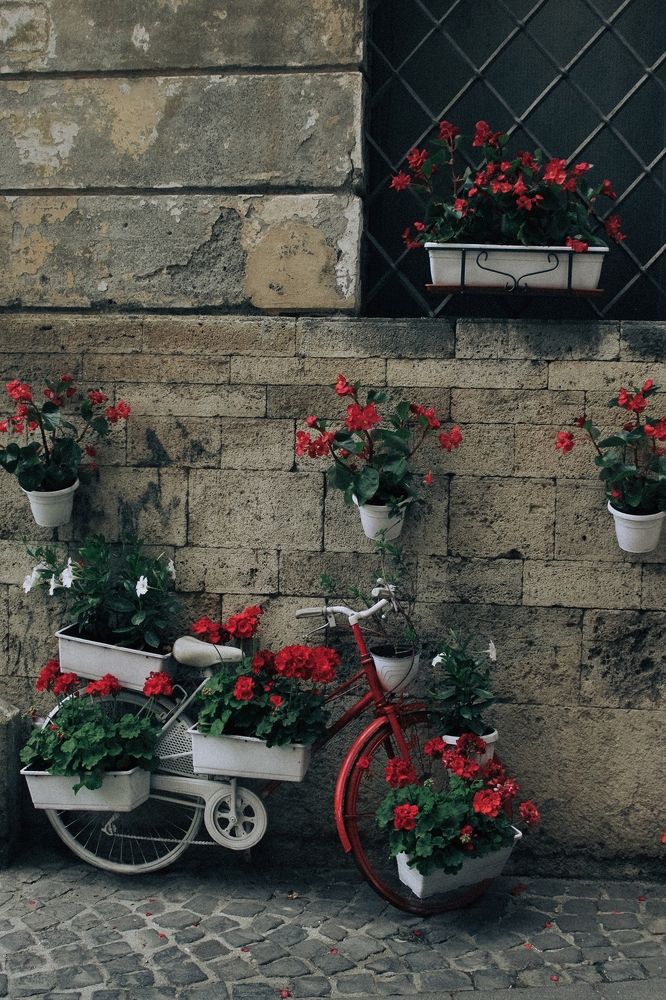 Photograph by Iryna Shyshkina