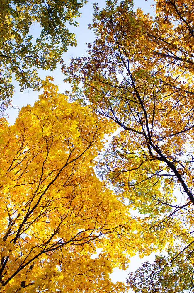 Photograph by Лиана Ратия