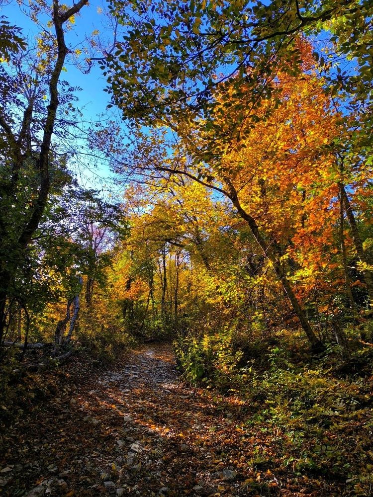 Photograph by Андрей Прокопенко